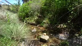 Marble Falls, Texas Land & Ranches For Sale | Cow Creek Ranch 373 Acres
