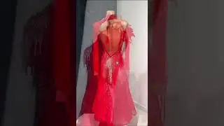 Scarlet Enchantment Ballroom Dress by FB International