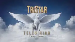 Michael de Luca Productions/Old Friends/Amazon Studios/TriStar Television (2016)