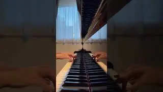 19. Flute and Echo (つのぶえとこだま)  (D.G.T&uuml;rkテュルク) #piano#chiharuizumiya#music