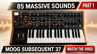 MOOG SUB 37 / SUBSEQUENT 37 ♫ 37 Custom Sounds ► MASSIVE LEADS V1 - PT.1