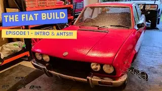 The Fiat 124 Build : Episode 1 - Intro & Ants!