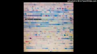 Wim Mertens (Soft Verdict) 