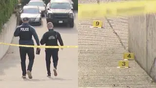 2 arrested after alleged extortion-related shooting in Surrey: police