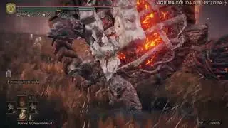 Lágrima sólida deflectora (como conseguirla) - Elden Ring DLC