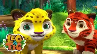Batalha naval  | Leo & Tig | Desenhos infantil 🐯🦁