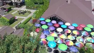 Patio - ресторан грузинской кухни в Киеве