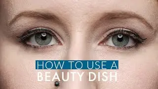 How to use a Beauty Dish / Profoto Soft Light Reflector