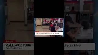 Rat takes center stage at Fashion Fair food court, receives broom encore