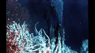 Chemosynthesis in the deep ocean