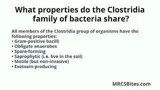 MRCS Part B: What properties do the Clostridia family of bacteria share?
