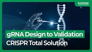 Accurate Tool of CRISPR-Cas9 System