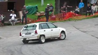Citro&euml;n AX GT & Sport & GTI Compilation