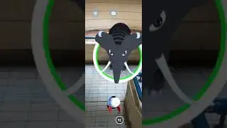 DOGEMON-GO FARMING BEFORE GOING TO WORK/DOGE COIN EARNING/CRYPTO 🎮