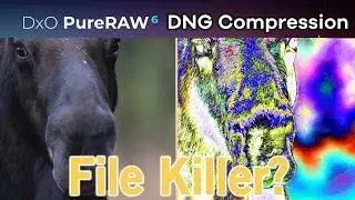 NEW… PureRAW6 and DNG Compression Results 