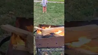 Сибасс в фольге на углях