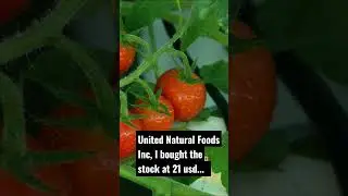 United Natural Foods&nbsp;Inc I bought the stock at 21 usd