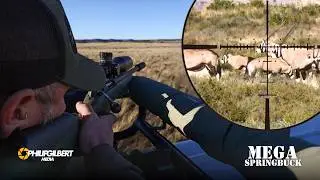 Springbuck Culling and Hunting Trophy Gemsbuck in the Karoo - Mega Springbuck , South Africa