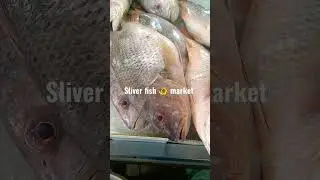 #fish #fishmarket #fishing #fishsellers #fishcutting #shrimp #fishaholic #amazingfish #youtubeshorts