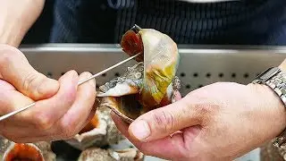 韓國路邊小吃 - 巨型海螺 紫菜厚蛋燒 漢城