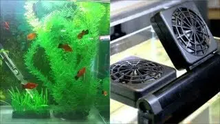 How to cool down aquarium water - prevent fish tank water from overheating