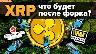XRP Форк, Брэд Гарлингхаус о FUD вокруг Ripple, Western Union и Moneygram что выгоднее?