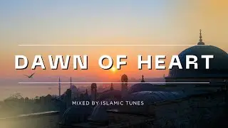 Dawn Of Light | Heart-Touching Vocal Nasheed | No Instruments