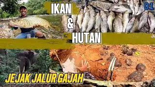4 Hari Fishing Camp di Jalur GAJAH SUMATERA! Jelajah Hulu Sungai & Casting Hampala&ndash;Mahseer (Part 1)
