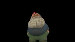 The 