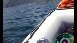 Gommone honda T 40 e BF 2.3hp test (parte 5/5)