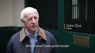 Sea The Stars - QIPCO British Champions Series of Hall of Fame