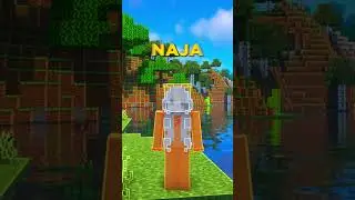 50.000 MINECRAFT SKINS F&Uuml;R BASTIGHG PALUTEN & DICH