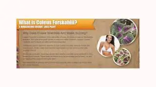 Forskolin Fuel Review
