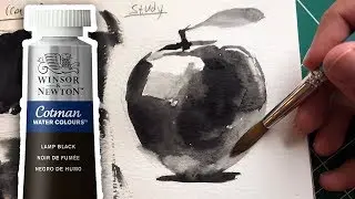 LAMP BLACK - W&N Cotman Watercolors | The Paint Show 45