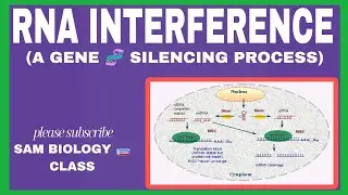 RNA INTERFERENCE -A GENE SILENCING PROCESS@SAM BIOLOGY 🧫 CLASS 