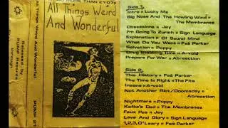 All Things Weird And Wonderful - Comp Tape Pumf21 1984 (Blackpool UK Punk New Wave Underground)