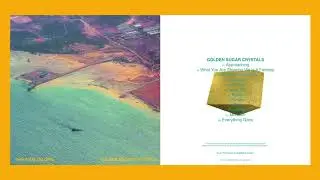 The Analog Girl - Golden Sugar Crystals (Full Album Stream)