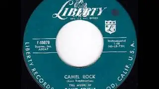 Camel Rock - THE MUSIC OF DAVID SEVILLE