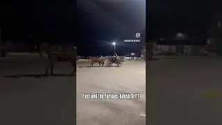 Amish Drift #fypage #fypシ #fypシ゚viral #fyp #shorts #short #shortvideo #shortsfeed #funny #wow #what