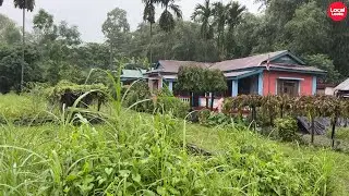 Monsoon Magic in a Lush Green Village | Discover Rural Life with @LocalLooks