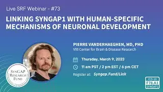 SRF | Linking SYNGAP1 with Human-Specific Mechanisms of Neuronal Development