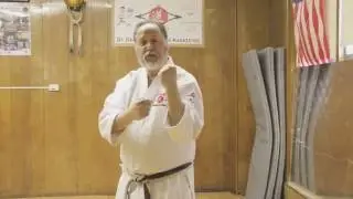 Boxer's Stance Vs. Kumi Dachi (Fighting Stance) - Shotokan Karate