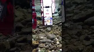 iPhone 11 check under the water #shortvideo #water #underwater #