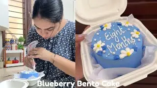 Blueberry Bento Cake Tutorial | Easy Cake Design for Beginners | Mini Cake Idea |