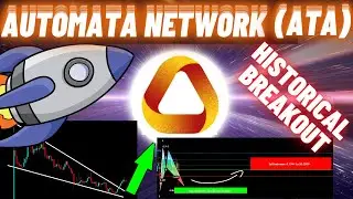 Historical Breakout Of Automata Network (ATA)