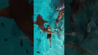 Places in Maldives that don&rsquo;t feel real #travel #explore #adventure #nature #maldives