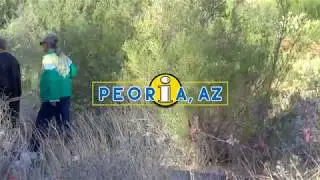 Peoria FYI: Peoria, AZ--One of America's Healthiest Cities