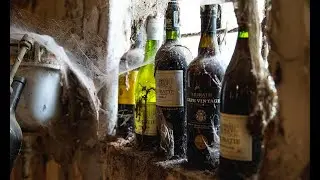 South Africa- Cape Town, the vineyards- Muratie