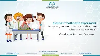𝐄𝐥𝐞𝐩𝐡𝐚𝐧𝐭 𝐓𝐨𝐨𝐭𝐡𝐩𝐚𝐬𝐭𝐞 𝐄𝐱𝐩𝐞𝐫𝐢𝐦𝐞𝐧𝐭 | Junior Wing | Class 8th | Aryabhatta International School