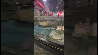 #abudhabi #ferrariworldabudhabi #dubai #pakistani #italy #ferrari @FerrariWorldYasIsland @Ferrari